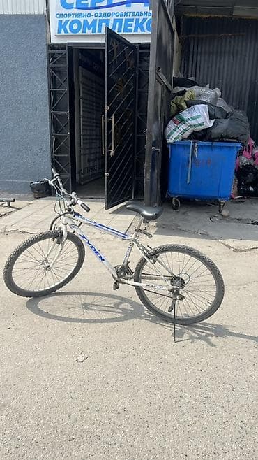 Шоссейные велосипеды: Горный велосипед, Рама M (156 - 178 см), Сталь — 1