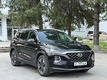 двери нива: Hyundai Santa Fe: 2019 г., Кроссовер — 3