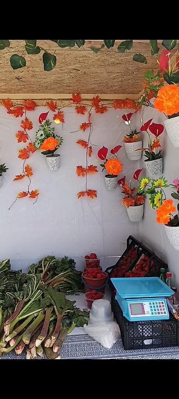 Клубника В розницу