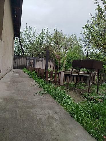 тынчтык ж м: 5 соток, Техпаспорт — 3