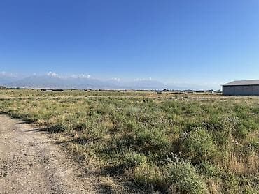 Жер тилкелери: 4 соток, Курулуш — 1