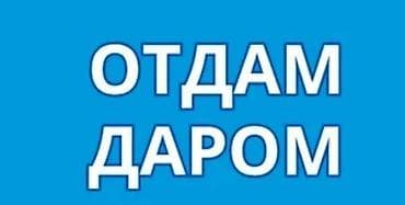 Отдам даром детские и женские вещи. 👧 Для девочки — одежда и обувь на lalafo.kg да Отдам даром детские и женские вещи. 👧 Для девочки — одежда и обувь на