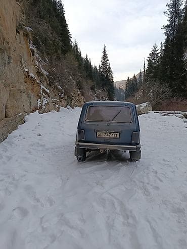 нива помпа: ВАЗ (ЛАДА) 4x4 Нива: 2011 г., Внедорожник — 1