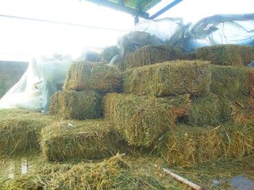 корм для домашних животных: Продаю для с/х животных 1-укос, остались последние 15 тюков — 1