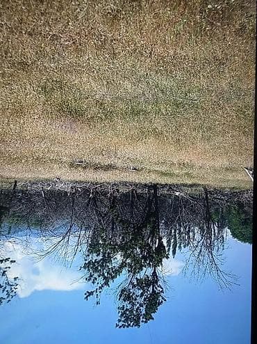 бостери комнаты: 15 соток, Айыл чарба үчүн, Кызыл китеп — 3