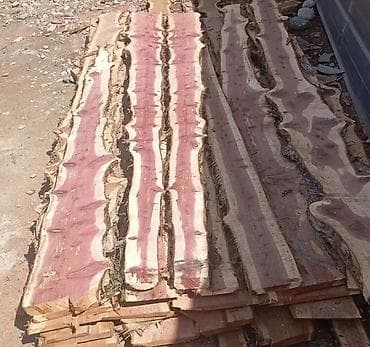 эмерек бу: Тактайлар, Кесилген эмес, Жалбырактуу бактар — 1