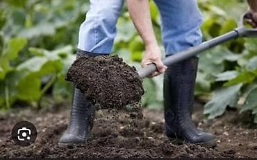 Клининг кызматтары: Аймактарды жыйнап тазалоо, Уборка двора и сада — 1