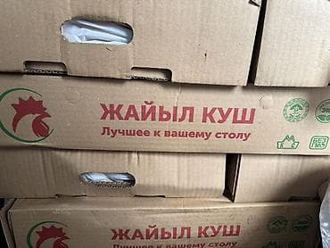 брой: Продукт: замороженные окорочка цыплёнка-бройлера Местные окорочка — 3