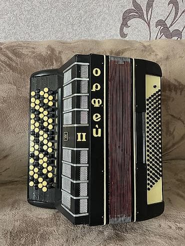 boya микрофон: Баян “Орфей II” + аккордеон Weltmeister (на фото) Описание: - Баян — 1