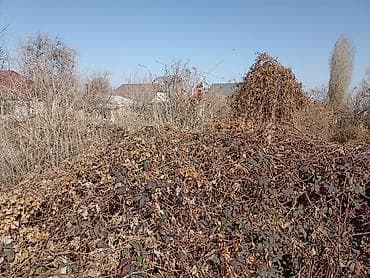 Жер тилкелери: 4 соток, Курулуш, Кызыл китеп — 3