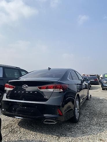 outback 2017: Hyundai Sonata: 2019 г., 2 л, Автомат, Бензин, Седан — 9