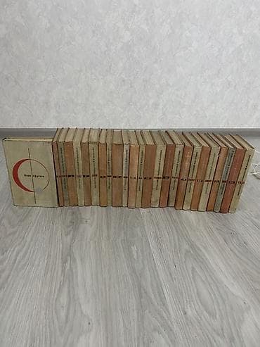 писат: Собрание книг советских и российских изданий — крупный домашний — 5