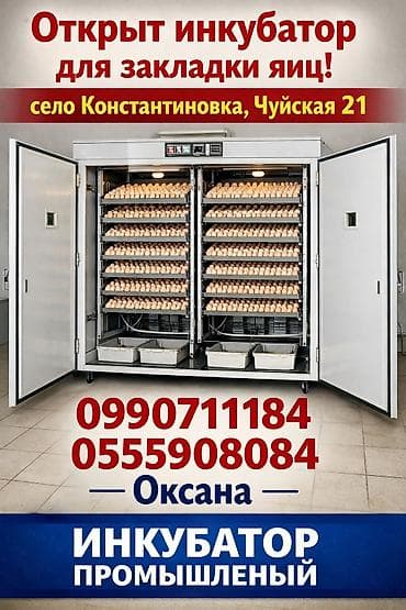 инкубационный: Инкубатор промышленный для закладки яиц - Тип: промышленный инкубатор — 1