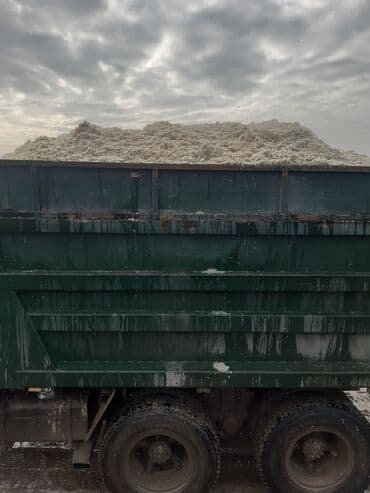 продам кошку: Жом по московскому району до 16 тон звоните в любое время Тимур — 2