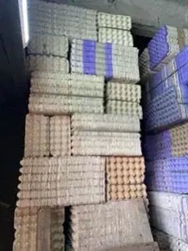 пластиковые контейнеры с крышкой купить бишкек: Коробка — 1