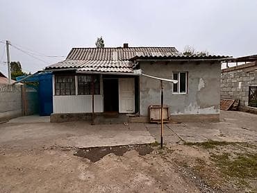Үйлөр: Уй сатылат баасы 50$ дагы сулошулор болот докуметери бардыгы бар — 2