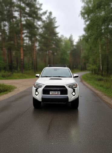 runx alex: Toyota 4Runner: 2019 г., Жол тандабас — 1