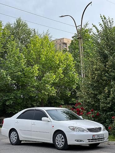 камри 1988: Toyota Camry: 2003 г., 3 л, Автомат, Бензин, Седан — 7