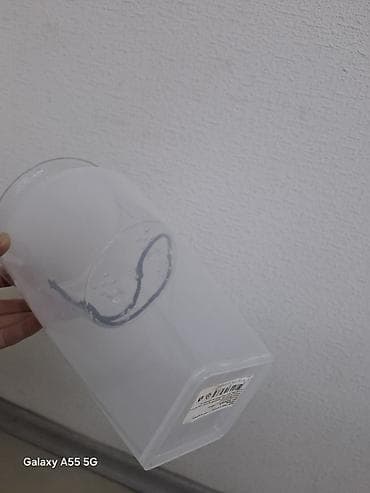 цветы бегония: Орхидея фаленопсис с контрастным окрашиванием лепестков: белая основа — 4