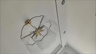 люстра: Срочно ‼️‼️‼️‼️‼️Потолочная люстра с подвесками «Перо и птицы» - — 6