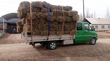 daewoo malibu: Грузовик, Mercedes-Benz, Дубль, 3 т — 4