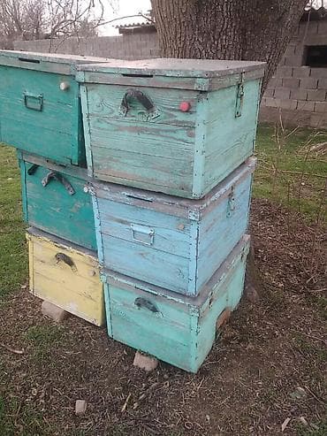 ящик: Деревянный Ящик — 2