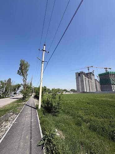дом в караколе: 260 соток, Для строительства, Договор купли-продажи — 3