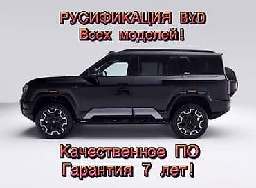 ravon 4: BYD : 2025 г. — 1