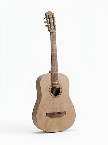 гитара 12 струн: Акустическая гитара классического типа (6 струн) - Формат — 1
