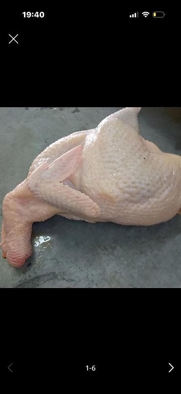 мясо фазана: Курица  — 1