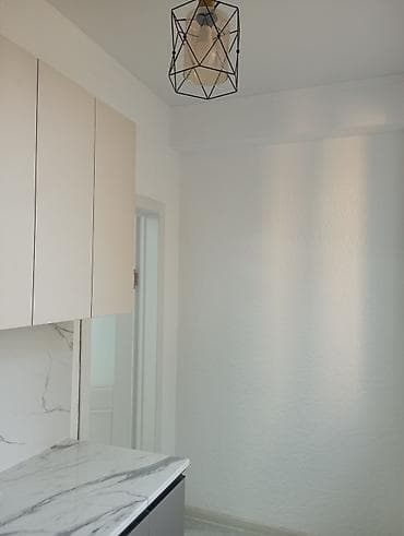 Квартиры: 1 комната, 32 м², Индивидуалка, 1 этаж, Евроремонт — 4