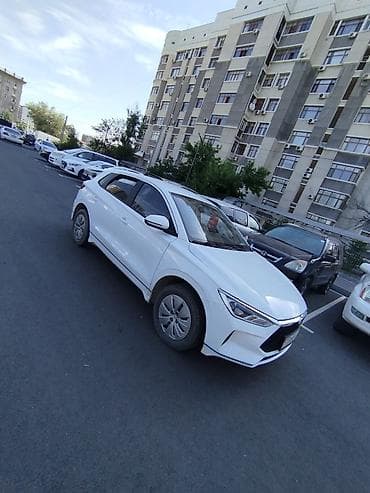 hycan z03: BYD E2: 2021 г., Электромобиль, Хэтчбэк — 2