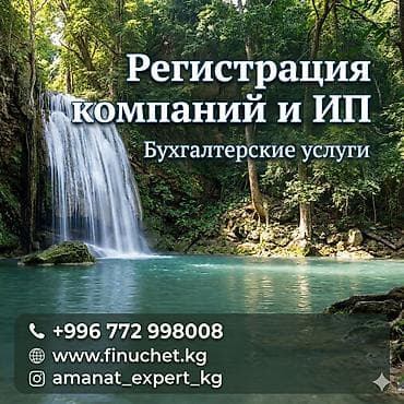 орг: Юридические услуги | Трудовое право, Финансовое право | Консультация, Аутсорсинг — 1
