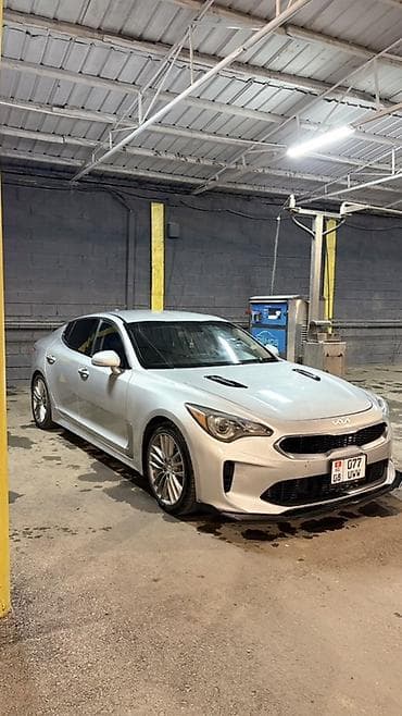 яркие: Kia Stinger: 2018 г., 2 л, Седан — 9