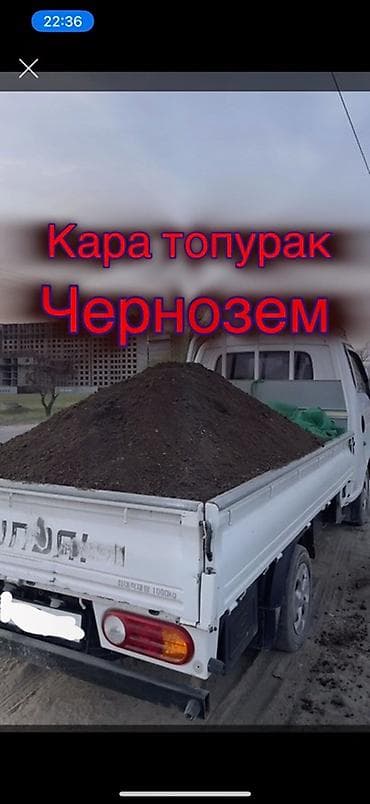 мульчир: Портер — 1