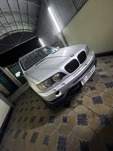 ещка 303: BMW X5: 2001 г., 4.4 л, Типтроник, Газ, Кроссовер — 2