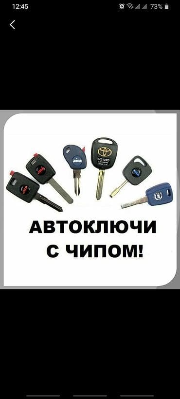 АВТО КЛЮЧИ С ЧИПОМ чип ключи чипы для авто Чип ключи Чип ключ