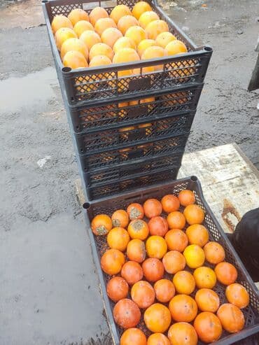 Мандарины Оптом, Бесплатная доставка