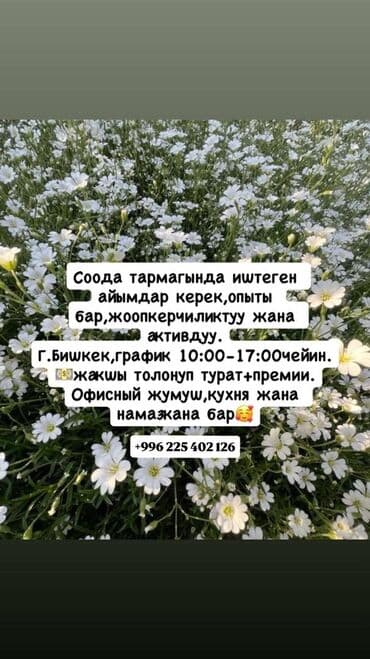 продаю офис: Требуется помощник оператора со знанием офисной работы, способный — 5