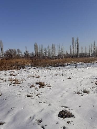 6 соток, Для строительства, Красная книга, Договор купли-продажи