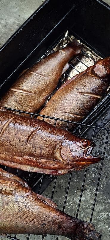 капченная рыба: Копчёная рыба собственного приготовления (горячее копчение) готовое и — 4