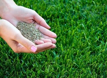 Газон. Газон. Газон! Газон не только модный, но и очень практичный, а