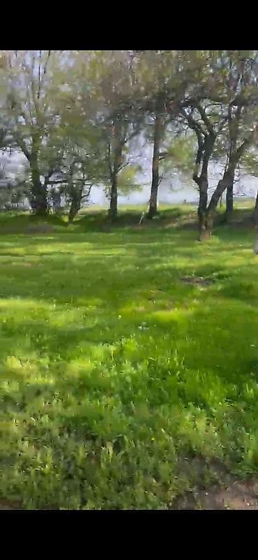 продаю катедж: Кара балтада сосновский повороттон 6 км жакындыкта жайгашкан — 9