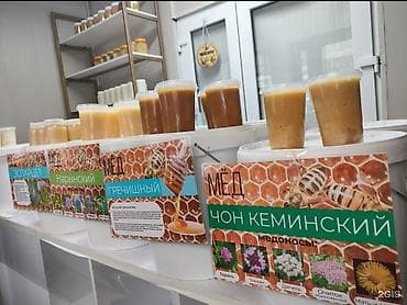 Жер-жемиштер: Мёд натуральный, без сахара и добавок. Прямиком с пасеки. 500с за кг — 1