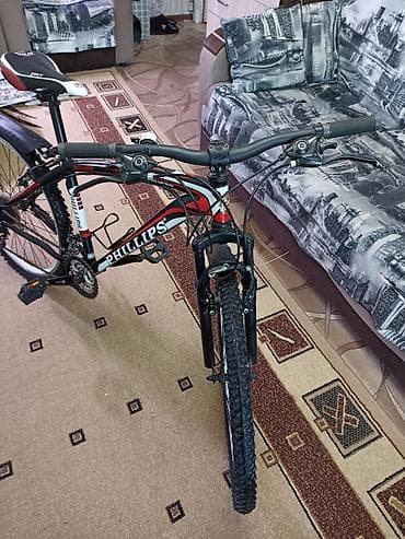 велосипед филипс: Горный велосипед, Сталь, Б/у — 2