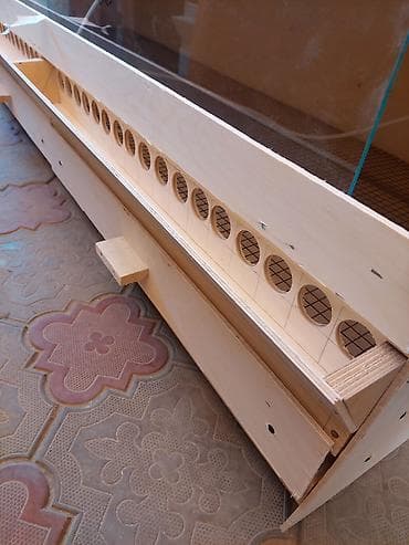 Айыл-чарба жаныбарлары: Сатам | Тооктор | Брама | Көбөйтүү үчүн — 10