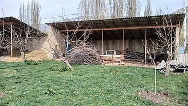 жер участок: Продаем большой дом в селе Курменты Тюпского района Иссык-Кульской — 5