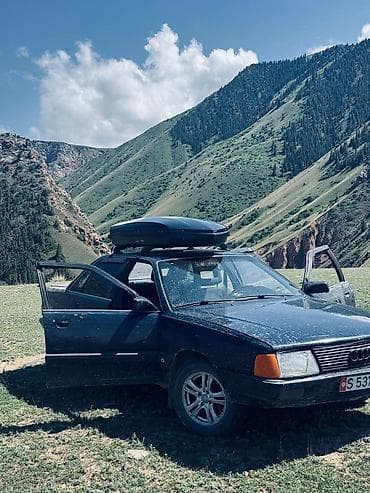 баетов: Audi 100: 1988 г., 2.6 л, Механика, Бензин, Седан — 5