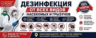 ловушка комаров: Профессиональная дезинсекция и дератизация от всех видов насекомых и — 1