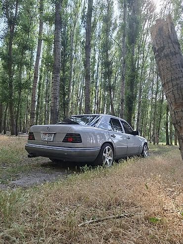 Mercedes-Benz W124: 1994 г., 3.2 л, Автомат, Газ, Седан — 4